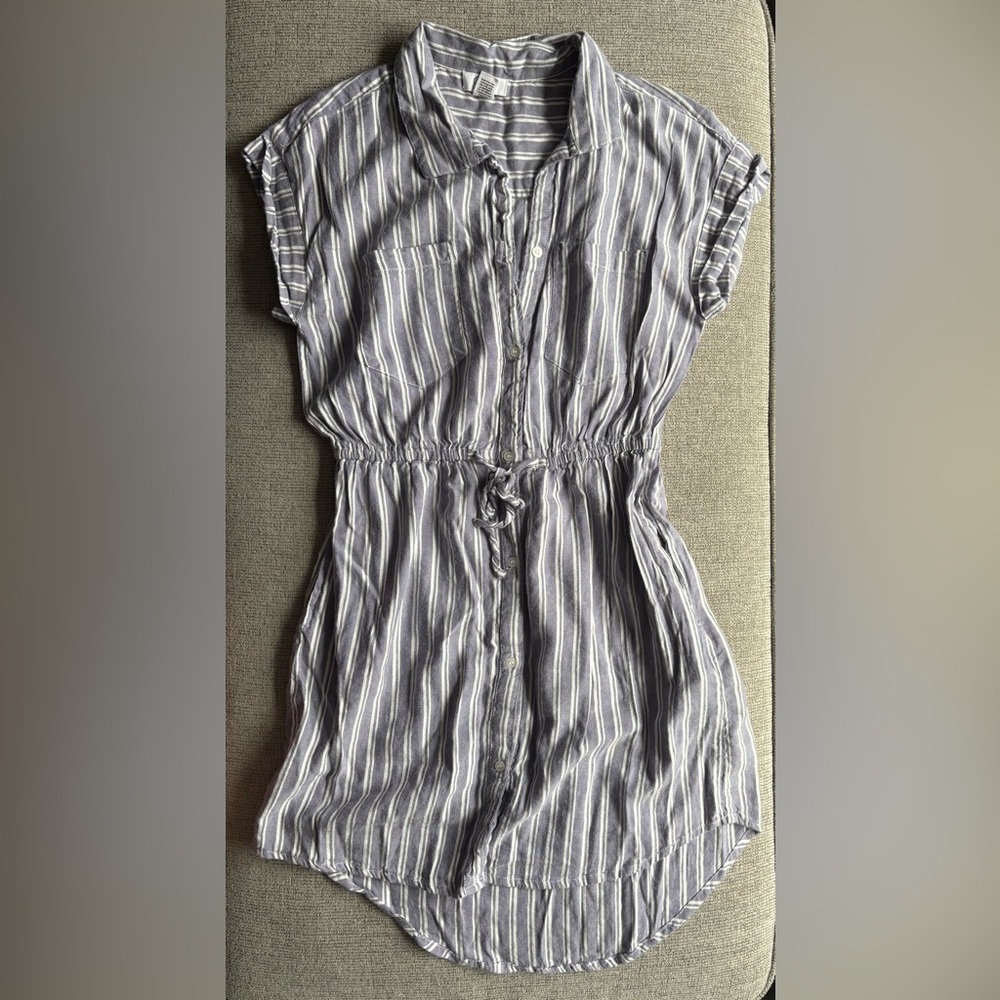 Japna Gray Striped Dress